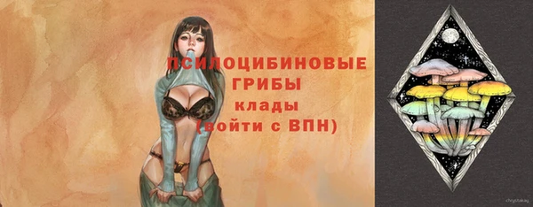 mdpv Куйбышев